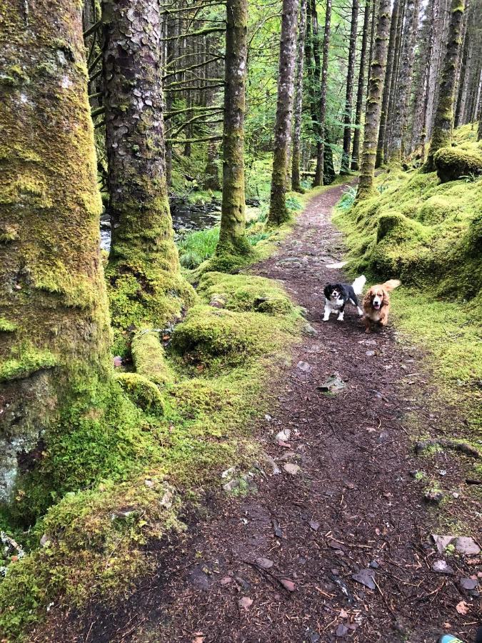 Foresters Lodge Bed And Breakfast, Near Loch Ness Inverfarigaig Ngoại thất bức ảnh